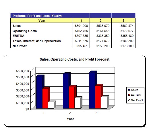 Executive Summary P&L