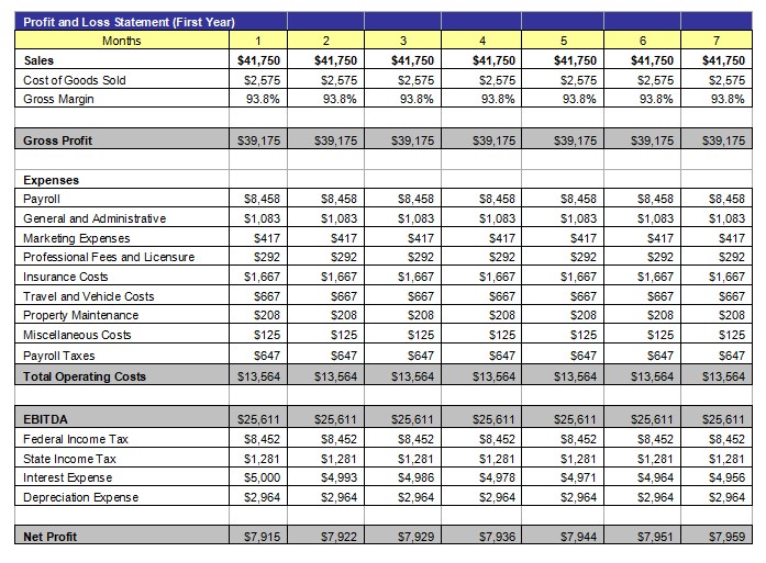 Profit and Loss Statement 1