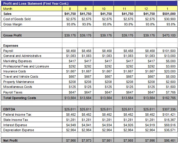 Profit and Loss Statement 2