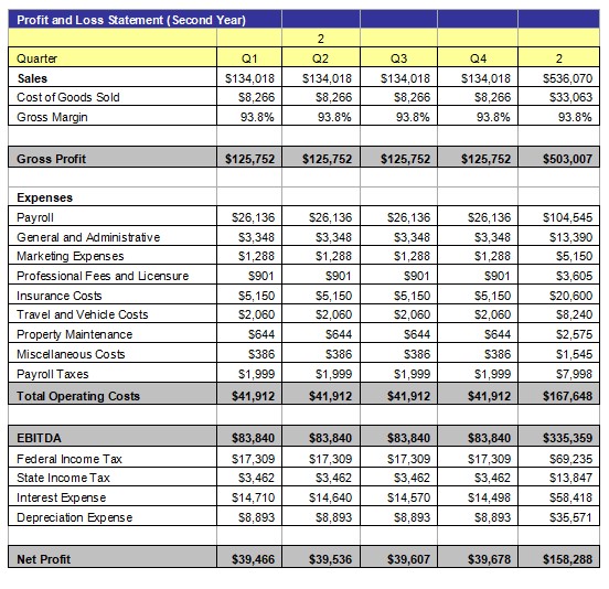 Profit and Loss Statement 3