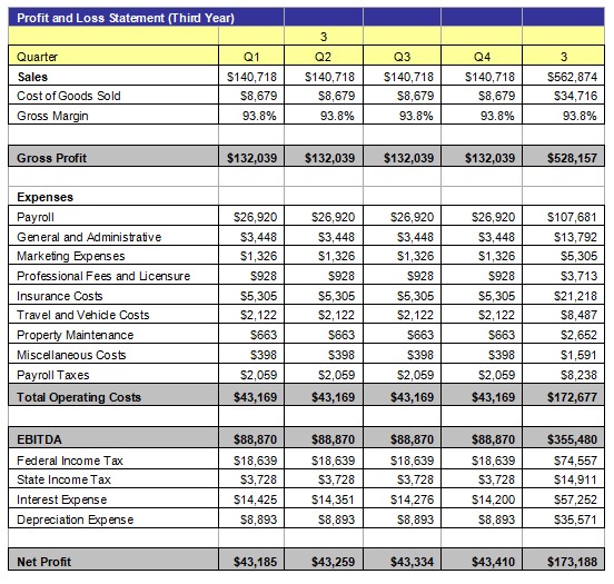 Profit and Loss Statement 4