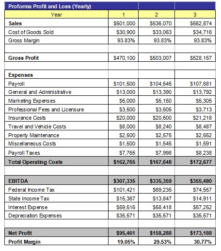 Profit and Loss Statement